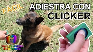 CLICKER para PERROS  CÓMO ADIESTRAR a un PERRO con un CLICKER | MUY FÁCIL | Adiestramiento Canino