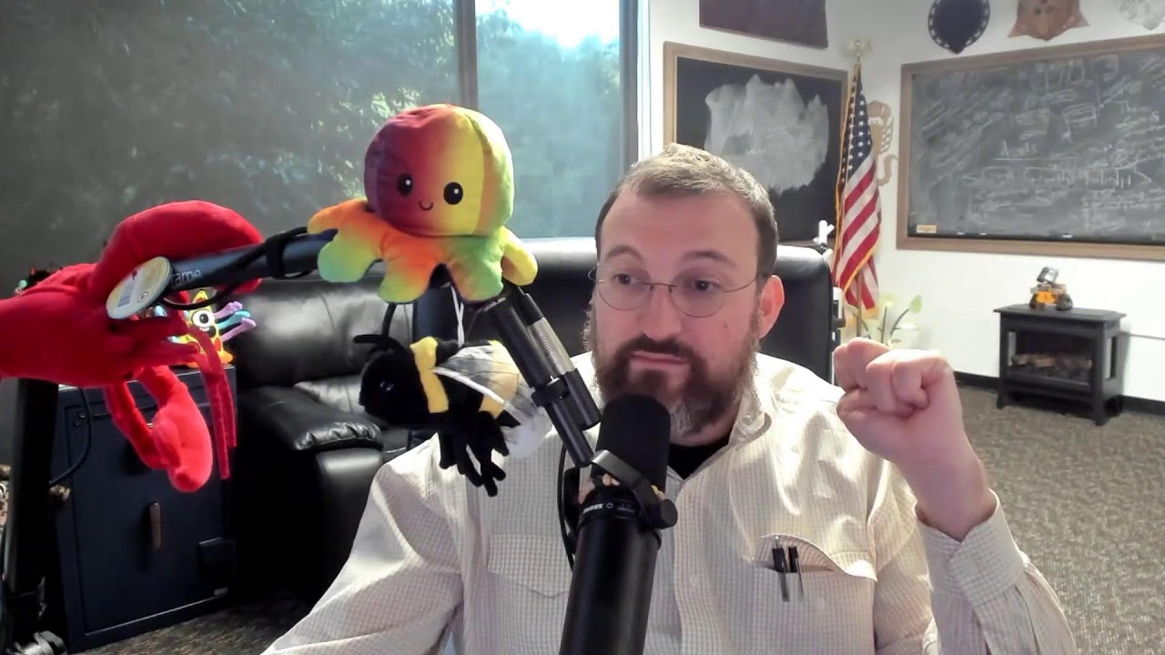 Charles Hoskinson on Cardano Outperforming Bitcoin and the Wyoming  Stablecoin | CCN.com