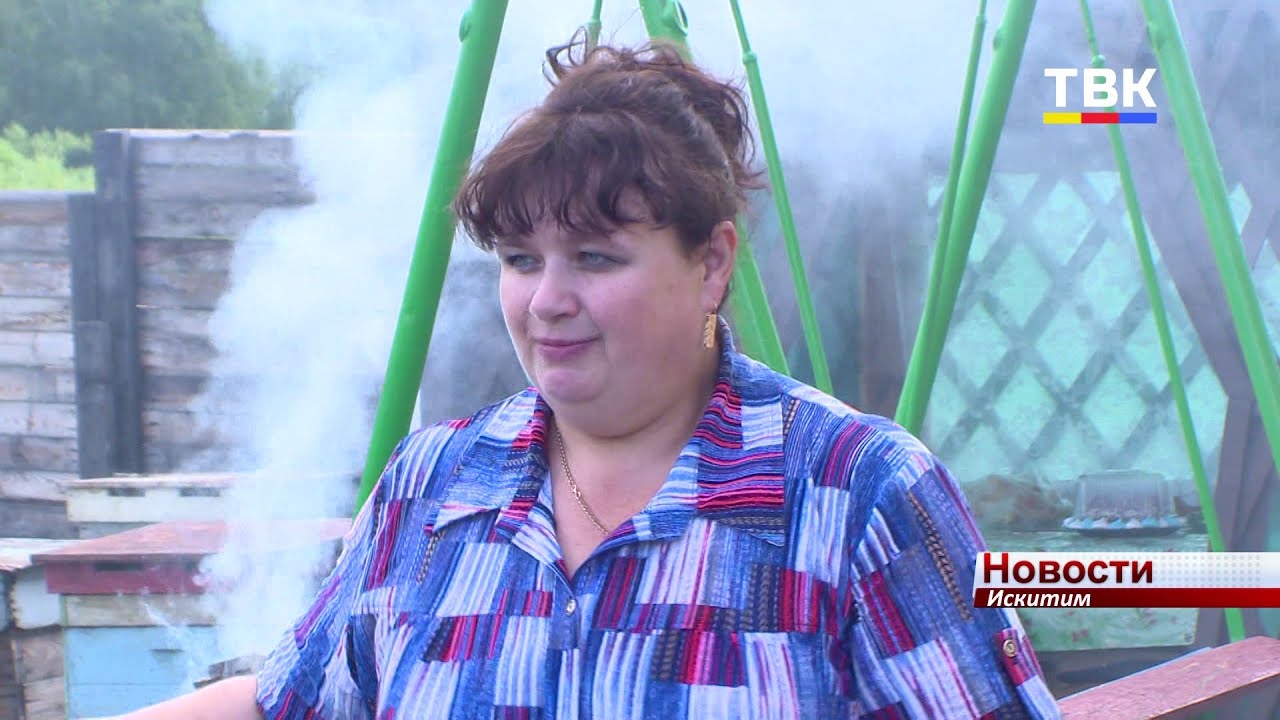 Медаль «За любовь и верность» вручили двум семья из Искитима - YouTube