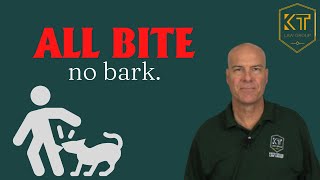 Can you sue someone if their dog bites you?