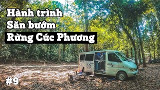 ⁣Van Life | Mùa Bươm Bướm bạt ngàn tại rừng Cúc Phương | Thử thách không điện thoại của  KemKay