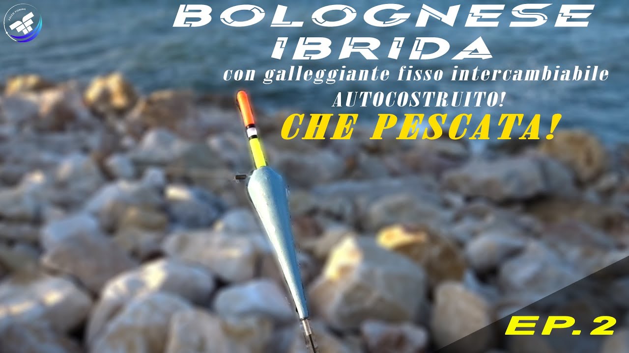Kit De Pêche Complet à La Bolognaise - Matériel Neuf Sous Emballage