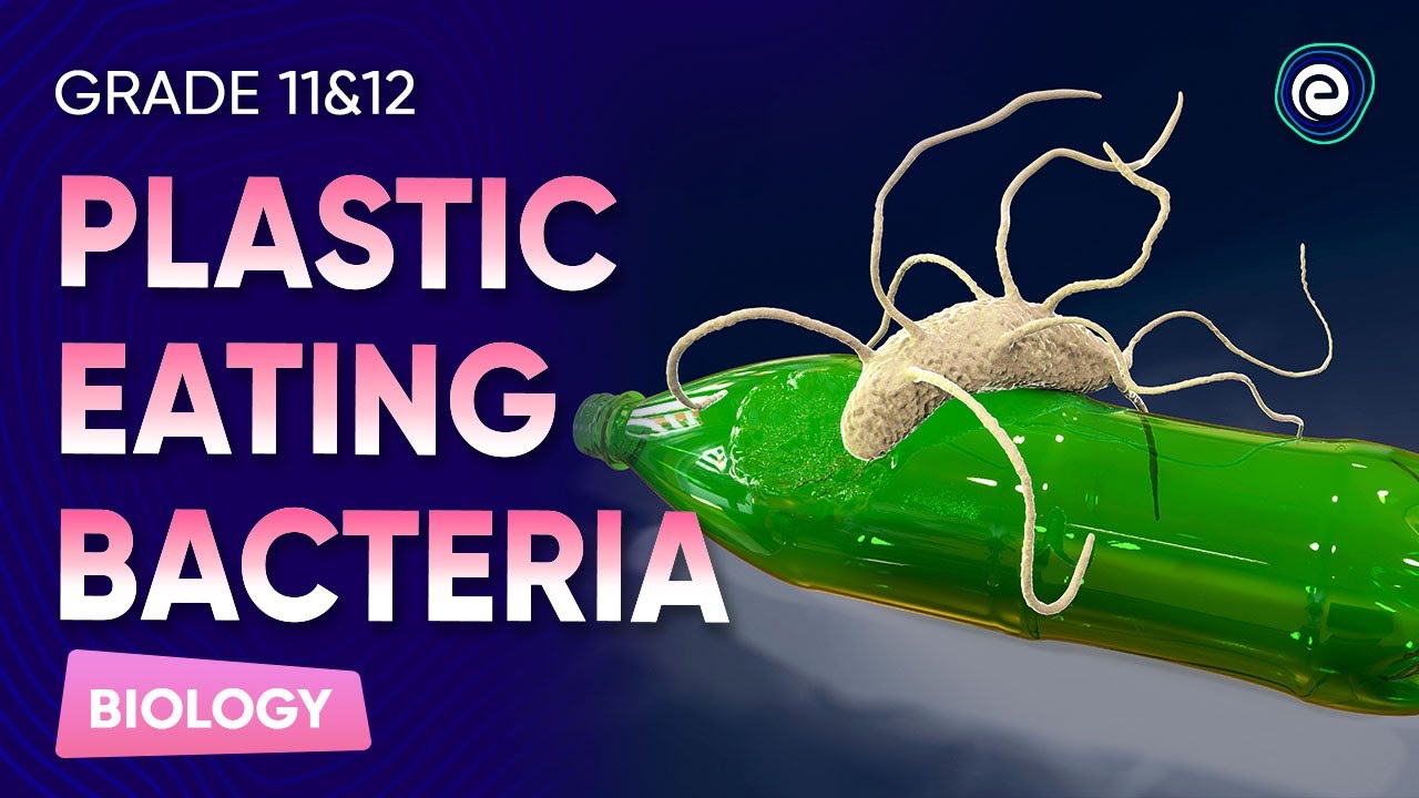 Plastic Eating Bacteria Biology CBSE 11&12 Embibe Achieve CBSE