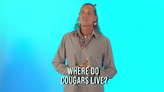 Where do cougars live and how has this changed over time?
