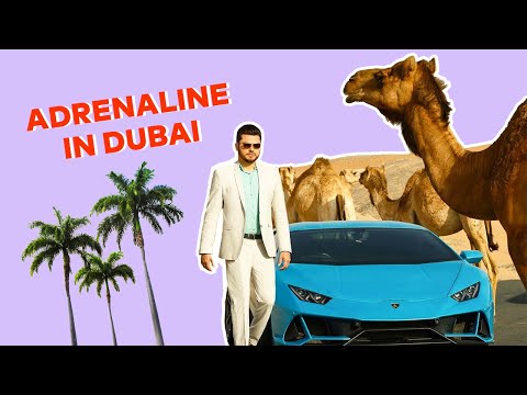 DUBAY SƏYAHƏTİNİZİ MÜKƏMMƏL EDƏCƏK ƏYLƏNCƏLƏR! Dubai excursion