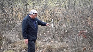 What is a bioretention facility?