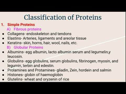 Classification of Proteins- 1.Simple Proteins - YouTube