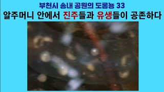 부천시 송내 공원의 도롱뇽 33. 알주머니 안에서 진주들과 유생들이 공존하다; Korean salamander 33. Pearls and larvae in an egg sac by 이덕하의 진화심리학 56 views 10 days ago 3 minutes, 14 seconds