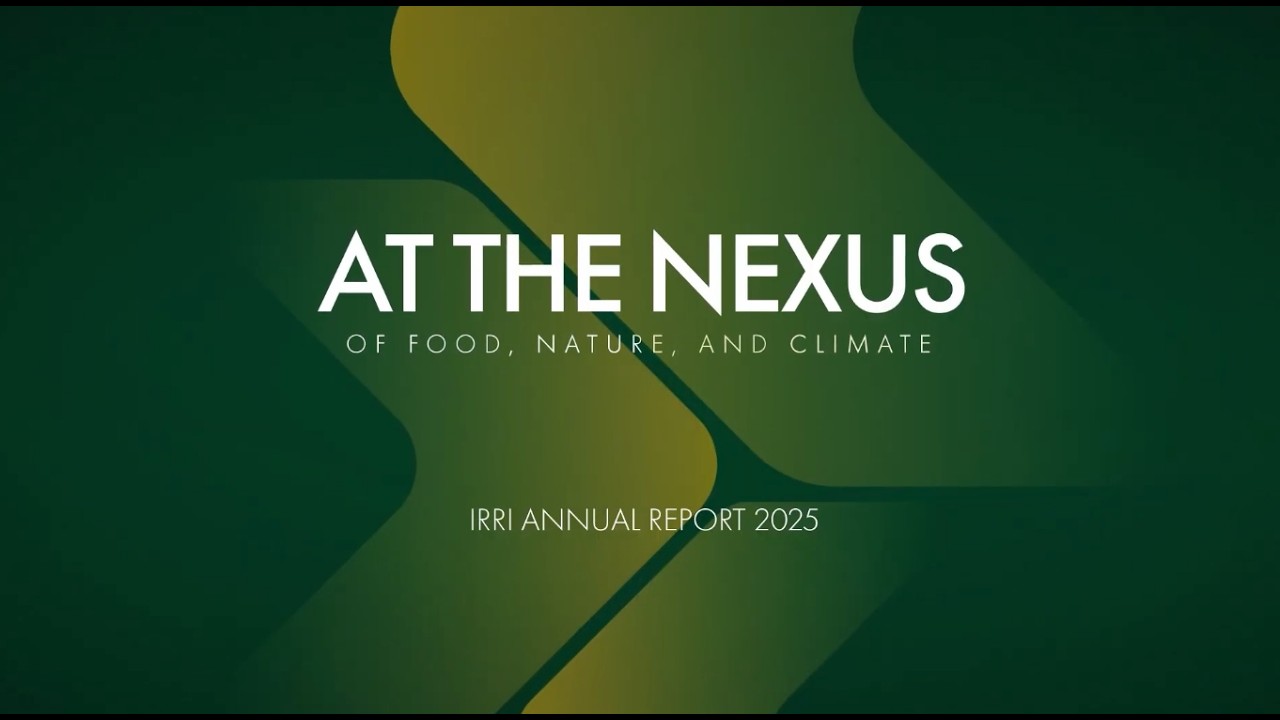 Thumbnail for IRRI 2025 Annual Report: At the Nexus of Food, Nature, and Climate