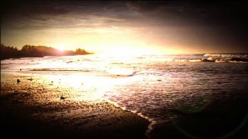 Singleton  To the end    (video tribute fan version)