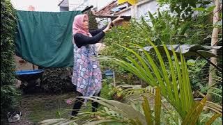 Tari Menjemur Pakaian ( Susilowati-857450957-Kelas D)