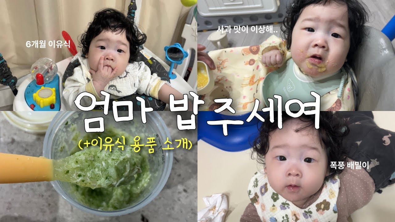 [Vlog] 이유식 브이로그ㅣ초기이유식ㅣ이유식 용품 추천ㅣ귀차니즘 엄마들 추천!ㅣ폭풍 배밀이