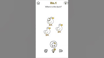brain out 🧠 crazy find । Level 1। where is the duck। @Raratewa.