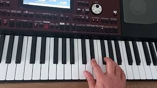 AYRILIK TRENI KORG PA700 Resimi