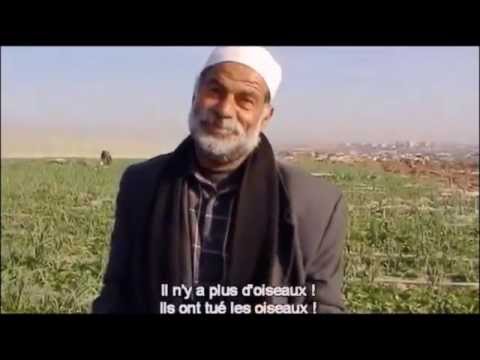 TÉLÉCHARGER GAZA STROPHE