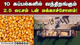 இறக்குமதிக்கு மத்திய அரசு அனுமதி அளித்தது ஏன்? | Maize imported | Tuticorin port | 2.5 lach ton maiz