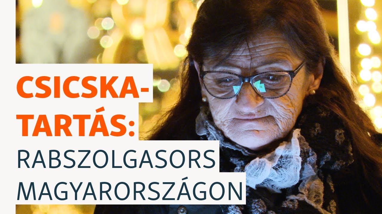 Van, ahol már divat lett a csicskatartás