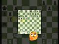 anarchychess makes no sense #chess