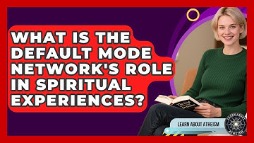 What Is The Default Mode Network