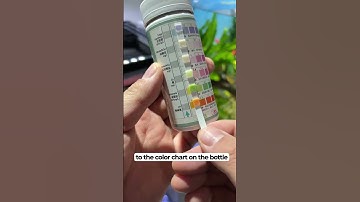 Test Water Strips For your Aquarium!