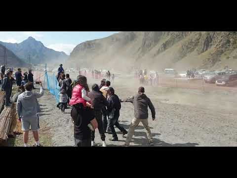 დოღი ყაზბეგში! ბიბი N1 20.09.20