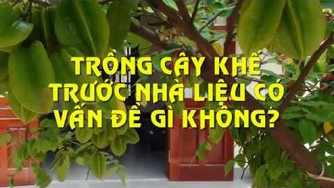 Trồng cây khế trước nhà liệu có tốt hay không?