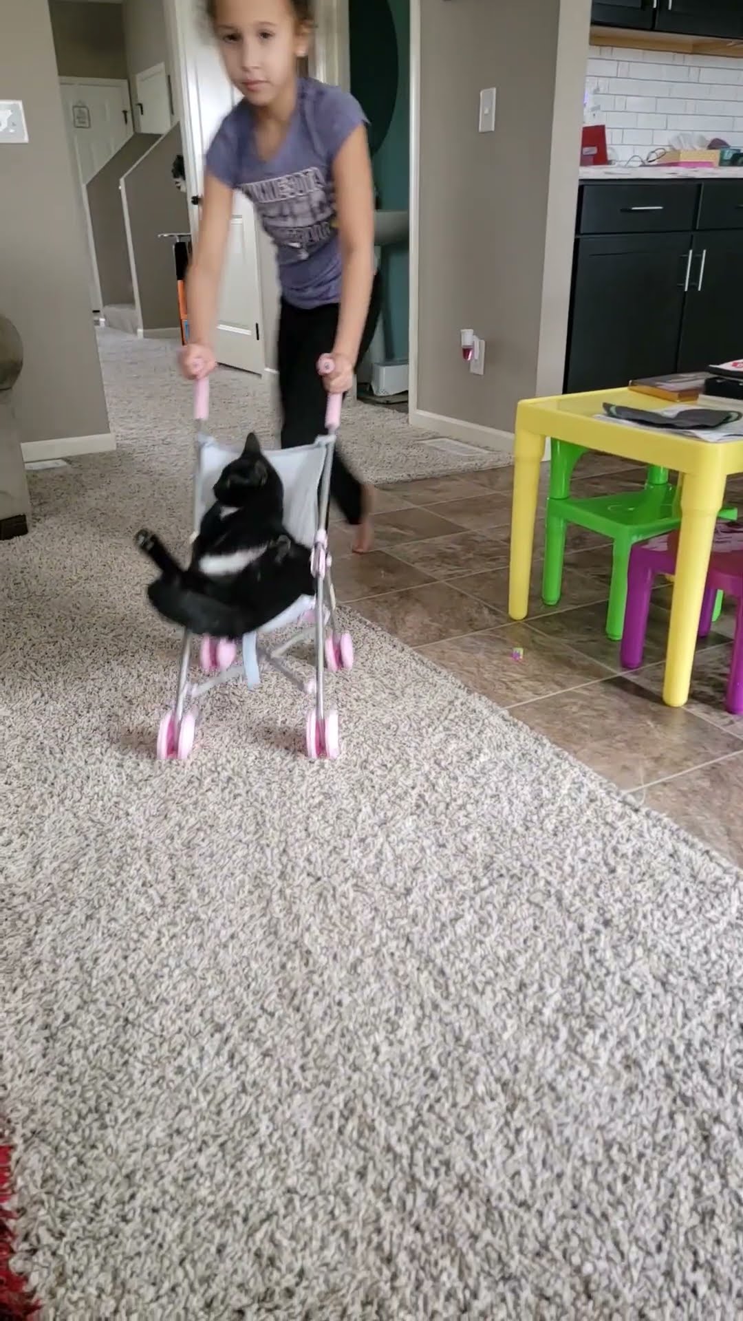 Cat Gets Ride In Doll Stroller || ViralHog