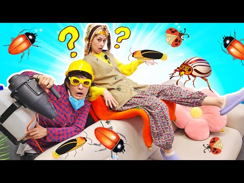 Komik video! Reyhan Abla - yeni koltuktan hamam böcekleri çıkıyor! Eğlenceli videolar