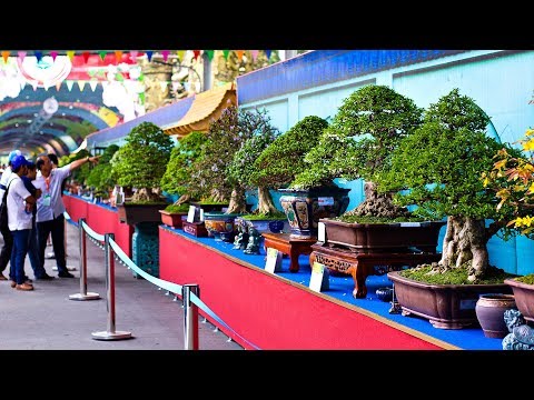 Video: Pameran Khas Istimewa Ke-15 