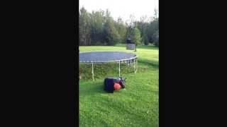 Epic gainer fail!!!!!!