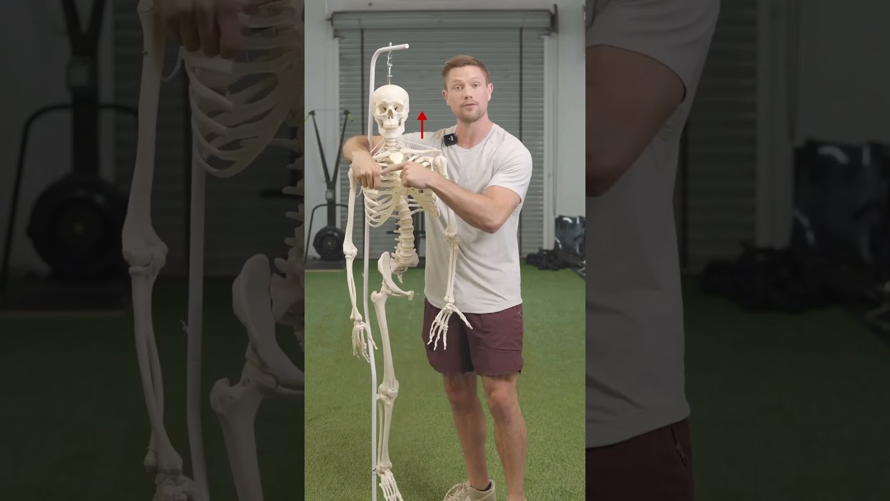 Why You Have One Lower Shoulder Fix It With This Posture Posturecorrection Shoulderpain