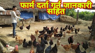 २०,२२ हजारमा नै सुरु गर्न सकिन्छ लोकल कुखुरा पालन ||Local poultry farming||Local khukura palan