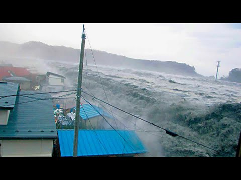 Video: Cuaca dan Iklim di Busan