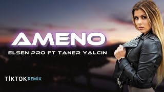 Elsen Pro & Taner Yalçın - Ameno Resimi