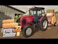 Свиньи едва живы.. Чем они болеют? - ч22 Farming Simulator 19