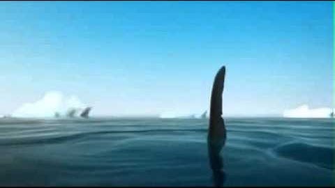 The Power of Teamwork   Funny Animation