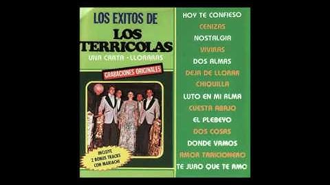 Los Terricolas Cenizas