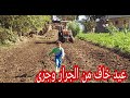 جهزنا الارض وزرعنا الغله (القمح)