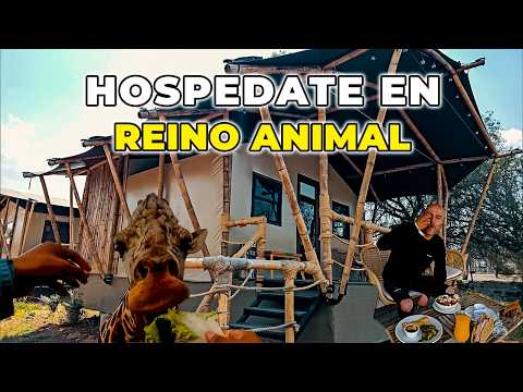 HOSPEDAJE de LUJO en MEDIO de la NATURALEZA SALVAJE