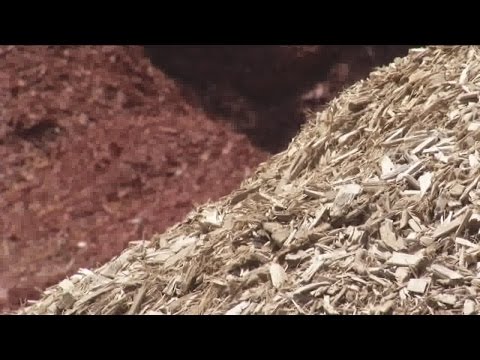 Vídeo: Qual a diferença entre mulch e lascas de madeira?