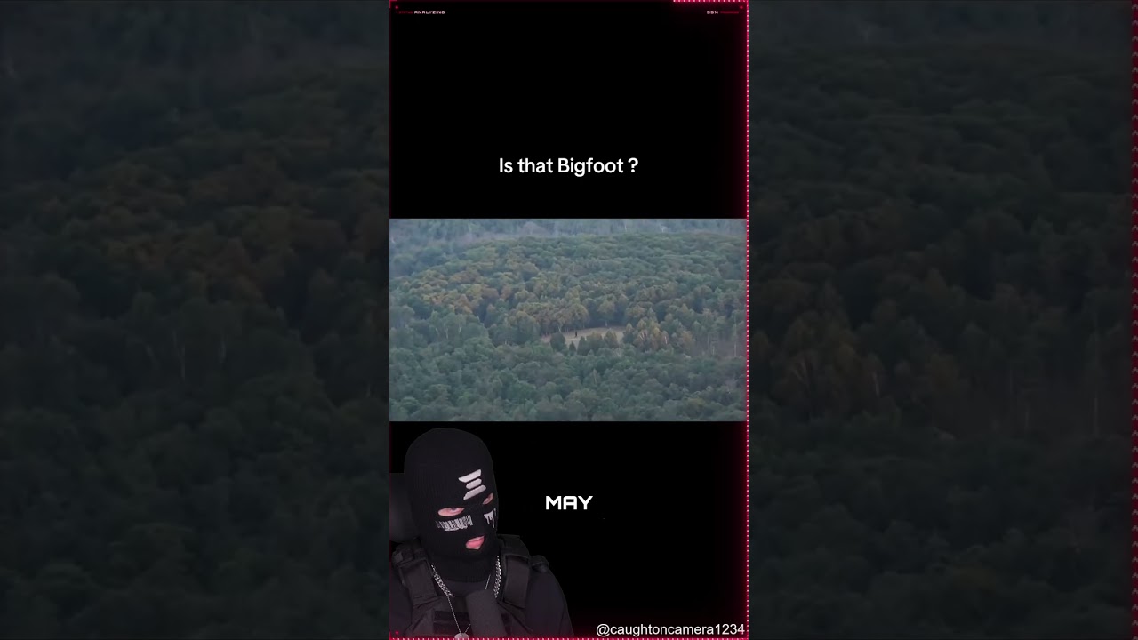 Bigfoot or Big Dude? Nexor Reviews a Viral Cryptid Sighting Clip