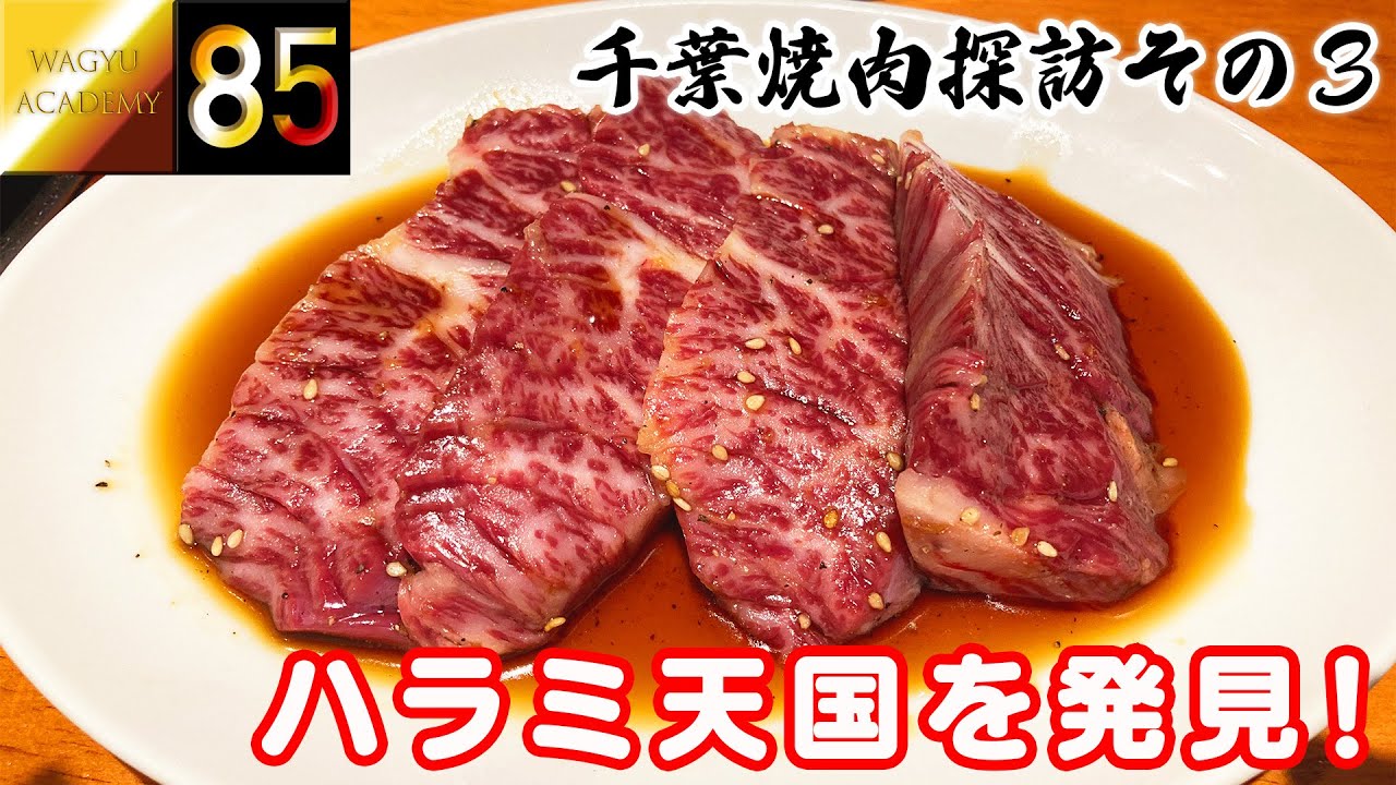 【千葉焼肉開拓記その3】炭火焼肉みやび、やきにく亭力、済州島の3軒でタレハラミに悶絶！千葉ハラミのポテンシャルに度肝を抜かれる！