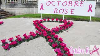 Octobre Rose  Avallon ! 