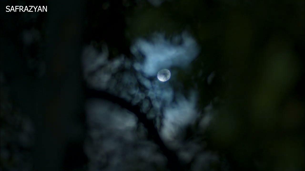 Elena Berkovaning yangi onlayn pornosi