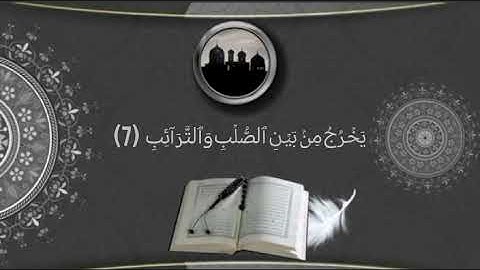 سورة الطارق ، القارئ (قتيبة المحادين)🥰