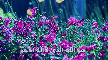 اواخر سوره الحشر بصوت القارئ اسلام صبحي