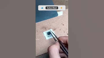 😮😮Assembling the Worl