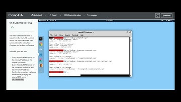 Testout | Network + | 6.6.6 Lab: Use nslookup