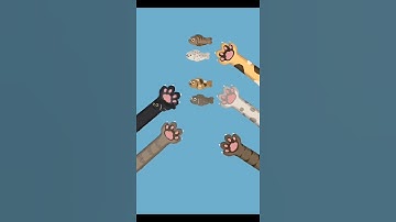 Perfect Tidy | Level 73 |  Walkthrough Gameplay #perfecttidy #games #cat #gameplay