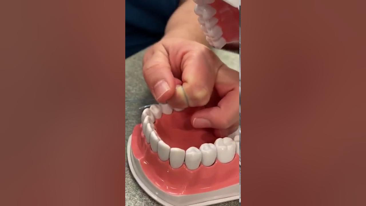 Floss Loops Education YouTube